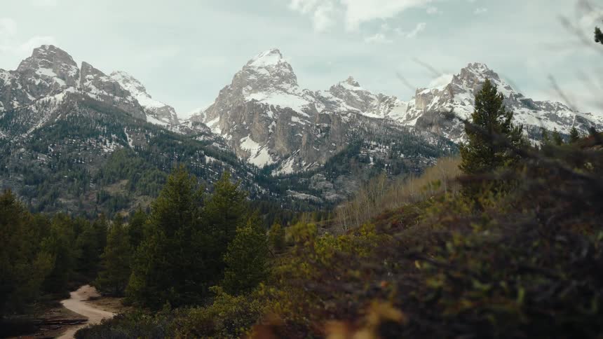 Majestic snow-covered mountains tower over a lush green forest and a winding dirt trail in Grand Teton National Park