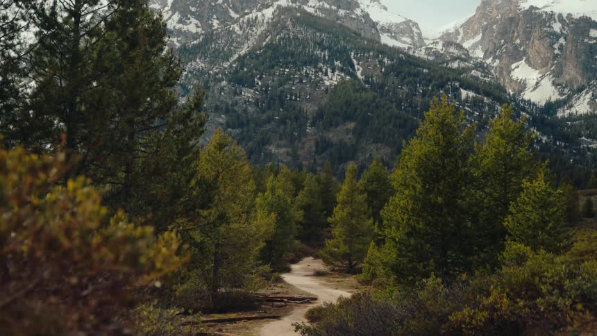 A slow tilt up from a winding dirt trail reveals the stunning snow-capped peaks of the Grand Teton mountain range