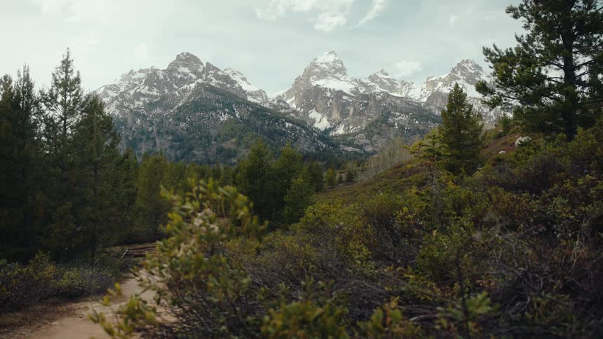 A majestic view of the snow-capped Grand Teton mountain range from a forested hiking trail