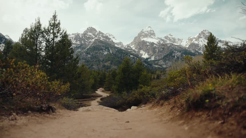 A winding dirt hiking trail leads through a lush forest towards the majestic, snow-capped Grand Teton mountain range