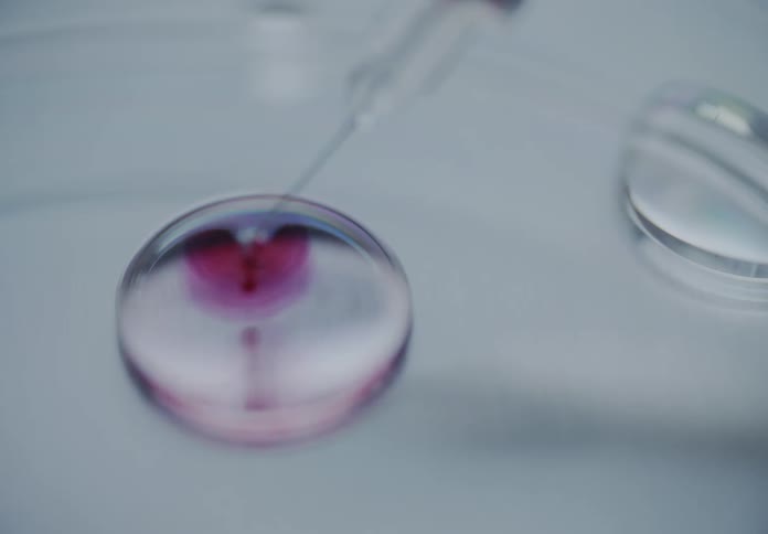 A pipette carefully releases a drop of blood into a clear solution within a petri dish for scientific analysis
