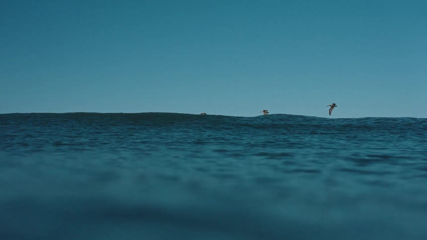 A trio of pelicans fly in formation in slow motion just above the ocean surface as the camera dips underwater