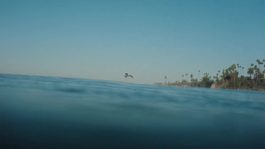 A graceful pelican flies in slow motion just above the calm ocean surface before the camera submerges