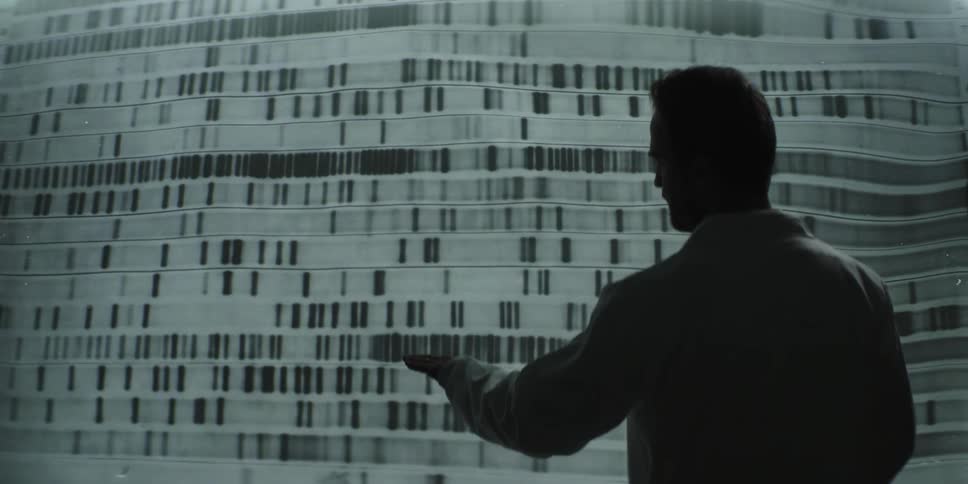 A male scientist analyzes a large, projected DNA sequencing autoradiograph in a dark laboratory