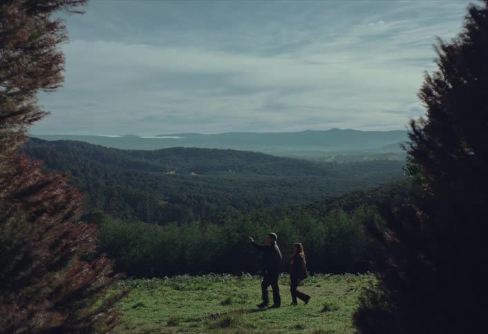 A couple walks through a grassy field overlooking a vast, rolling forest landscape on a cloudy day