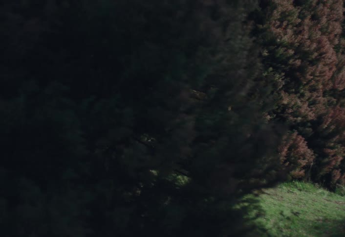 A young man and woman walk cautiously through a dark, mysterious, and shadowy forest at night