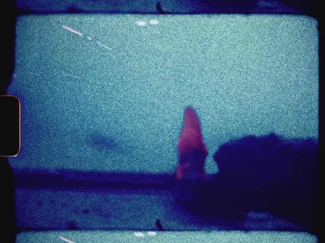 Grainy 8mm footage shows a solitary red fish swimming in a dark blue fish tank