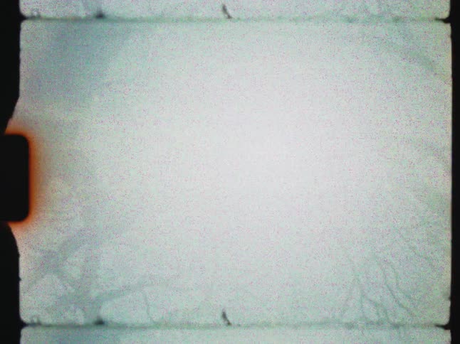 A flickering light leak and film burn effect on vintage footage of silhouetted trees against the sky