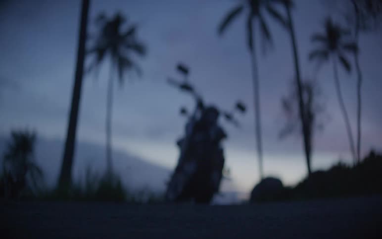A beautiful pull focus reveals a motorcycle parked on a tropical road at twilight with palm trees silhouetted against the sky