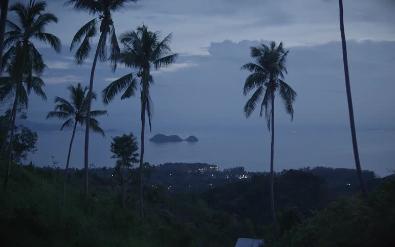 Silhouetted palm trees frame a tranquil view of the ocean and a distant island at twilight
