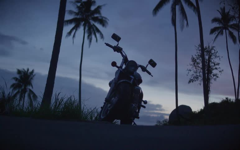 A motorcycle rests on a roadside, silhouetted against a dusky sky with tall palm trees