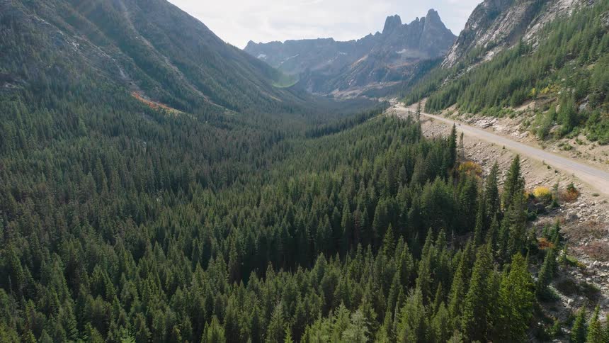 An aerial view pulls back over a dense evergreen forest to reveal a stunning mountain valley with a scenic highway