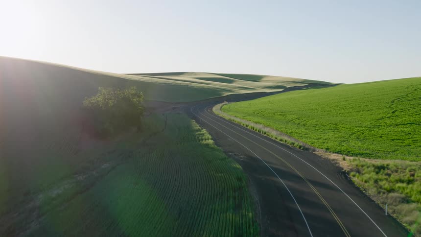 A serene aerial view follows a winding road through a vast landscape of rolling green agricultural hills at sunrise