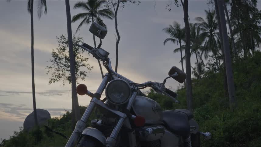 A close up shot of a parked motorcycle with tall palm trees and a sunset in the background