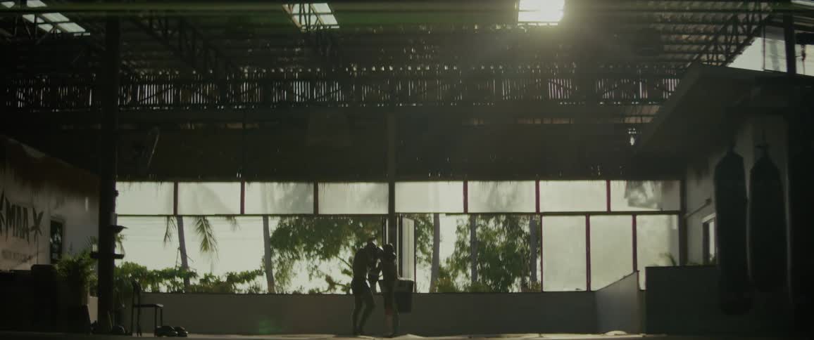 A camera tilts down from a sun-flared ceiling to reveal two silhouetted fighters training in a large gym