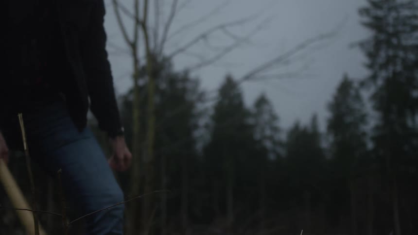 Slow motion shot of a bearded man in a forest splitting a log of wood with an axe