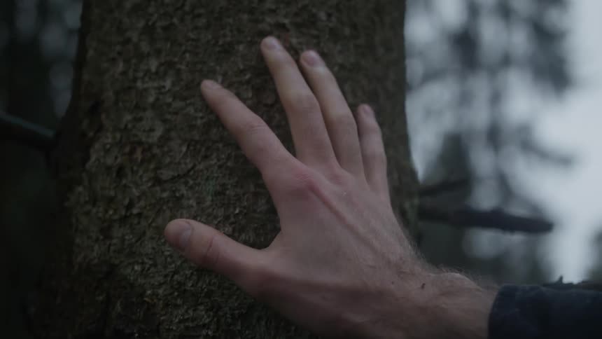 A man's hand in slow motion gently makes contact with the rough bark of a tree in a forest
