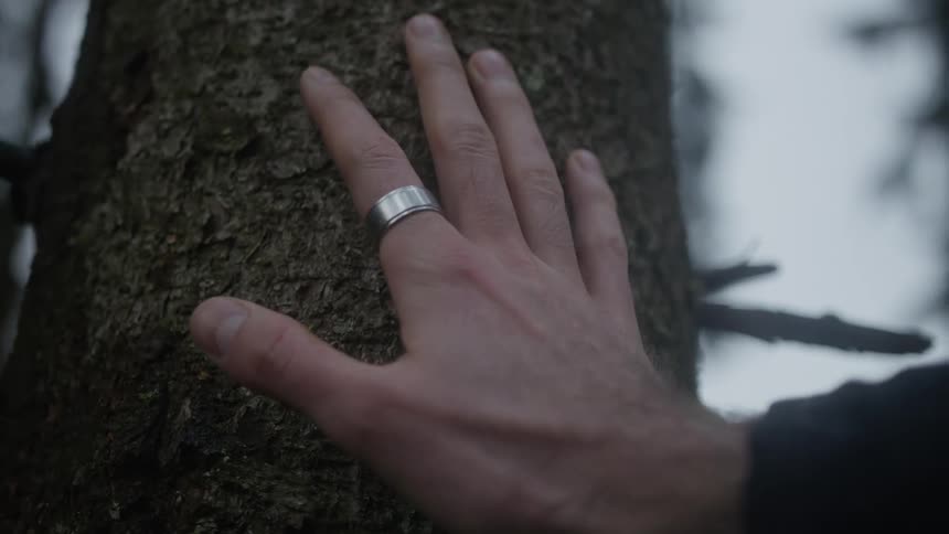 A close-up slow-motion shot of a man's hand gently touching the bark of a tree
