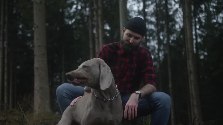 A bearded man in a red plaid shirt lovingly pets his happy Weimaraner dog while taking a break in a dense forest