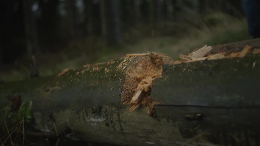 A close-up slow-motion shot shows an axe repeatedly striking a fallen tree log, sending wood chips flying through the air