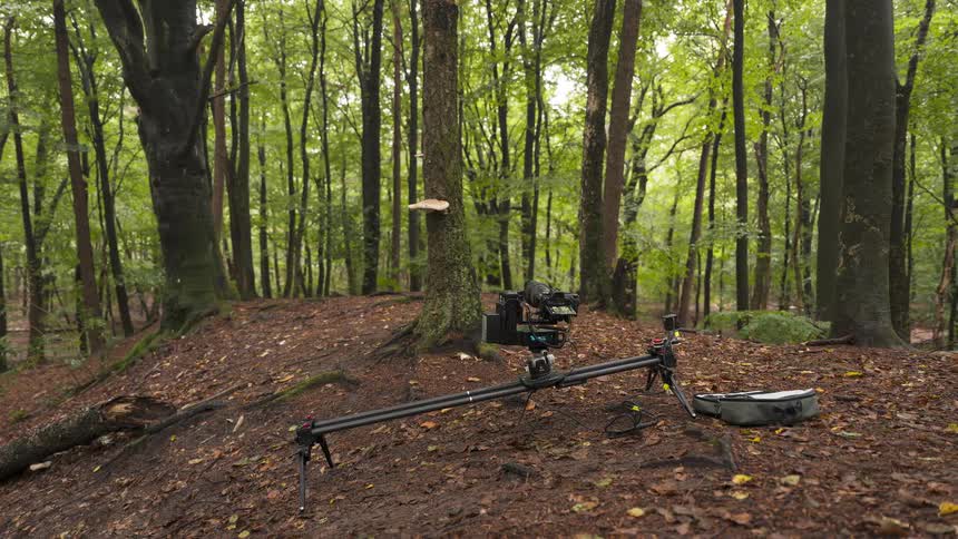 Behind-the-scenes time-lapse of a camera on a motorized slider capturing footage of a tinder fungus in a lush forest
