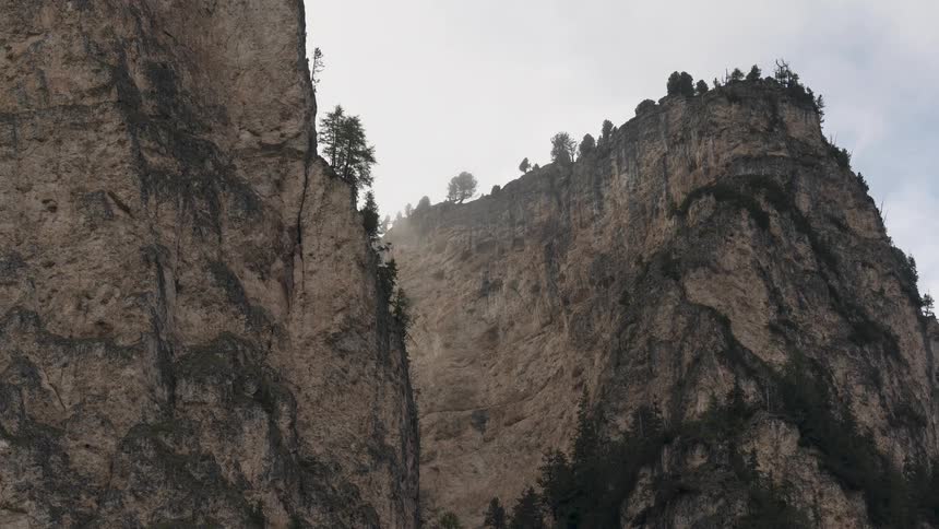Timelapse of thick fog rolling through a dramatic mountain pass with rocky cliffs and pine trees