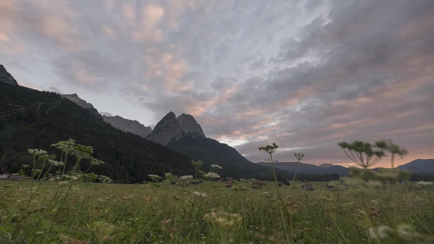 A peaceful time-lapse captures clouds moving across the sky at sunset over a wildflower meadow at the base of the majestic Alps