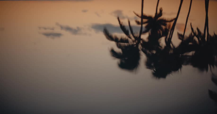 The serene reflection of silhouetted palm trees dances on the rippling water during a golden sunset
