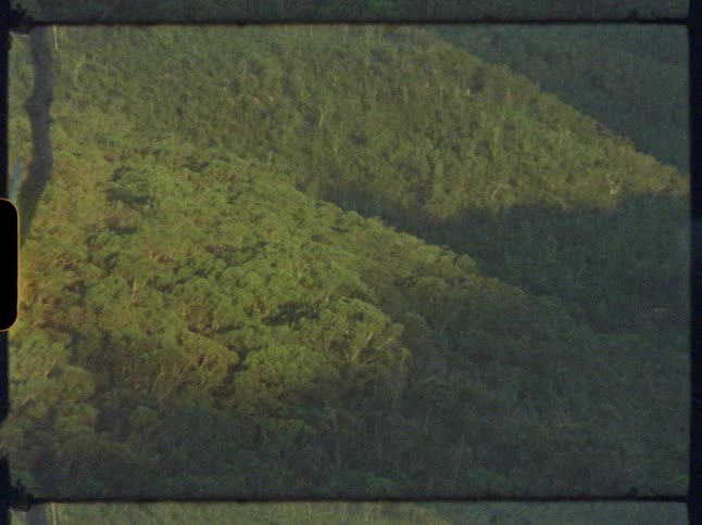 A vintage Super 8mm film shot of a dense green forest covering a rolling mountainside