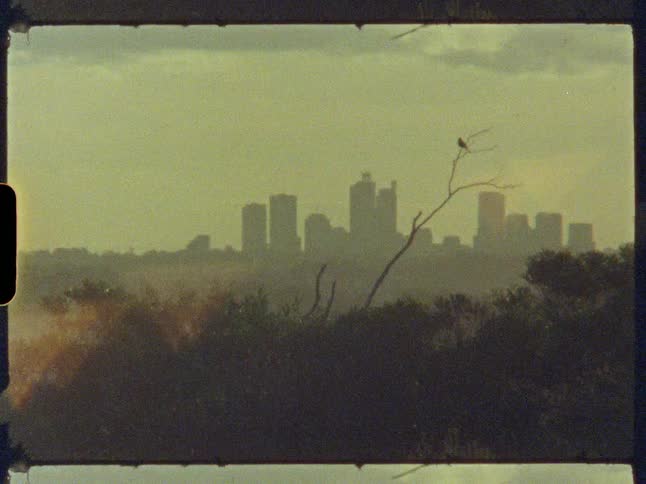 A vintage, grainy film shot captures the hazy silhouette of a city skyline at dawn with a lone bird perched on a branch in the foreground