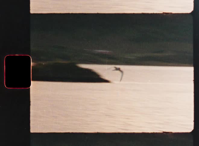 Vintage 8mm film captures a blurry shot of a single bird gracefully flying over a calm body of water at dusk