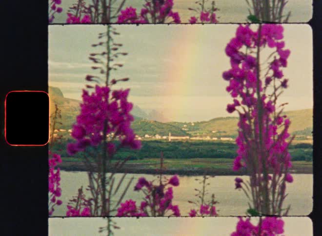 Super 8mm film animation shows a faint rainbow over a scenic river valley with purple wildflowers in the foreground