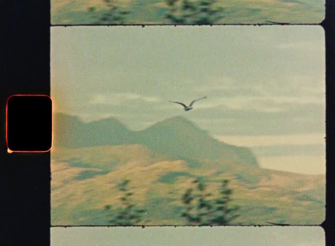 A vintage film captures a lone bird soaring gracefully across the sky, revealing a hazy mountain landscape in the background