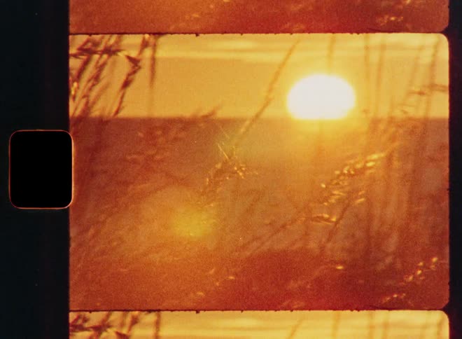 Nostalgic 8mm vintage film effect shows a dreamy golden hour sunset over the ocean through swaying beach grass