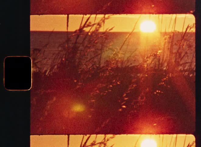 A nostalgic super 8mm film captures the warm glow of a sunset over the ocean through swaying beach grass