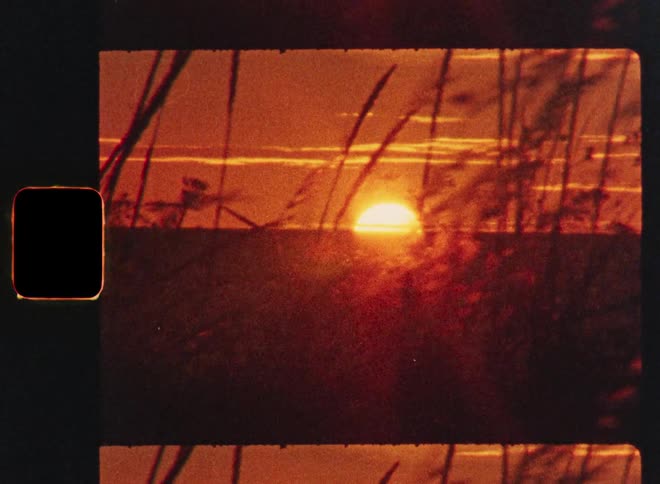 A vintage 8mm film-style shot shows a golden sunset over the ocean horizon through swaying reeds