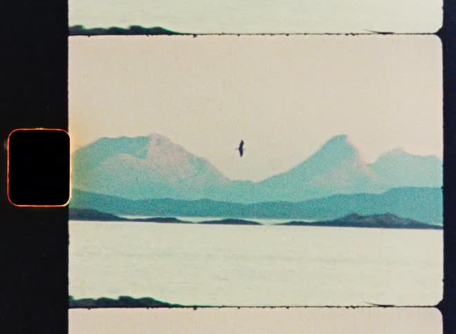 Vintage film captures a lone bird soaring gracefully over the tranquil sea with distant, hazy mountains