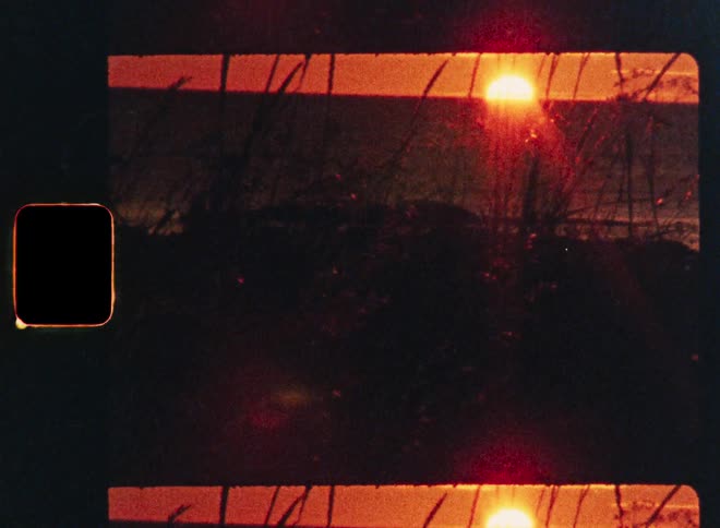 Vintage 8mm film captures a nostalgic golden hour sunset over the ocean, viewed through silhouetted grasses on a sand dune