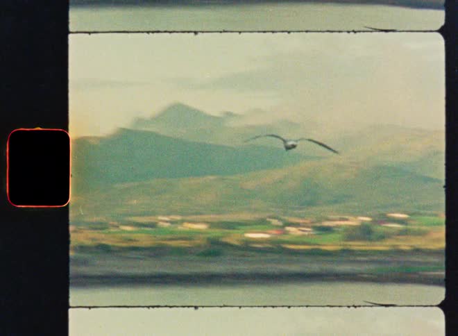 Super 8 film captures a seagull flying in dreamy slow motion over a scenic landscape with mountains and a river