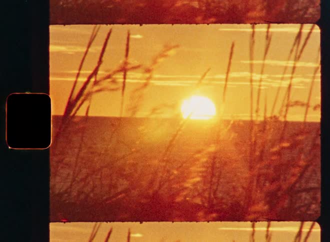 A warm, glowing sunset over the ocean is seen through swaying beach grass on vintage 8mm film