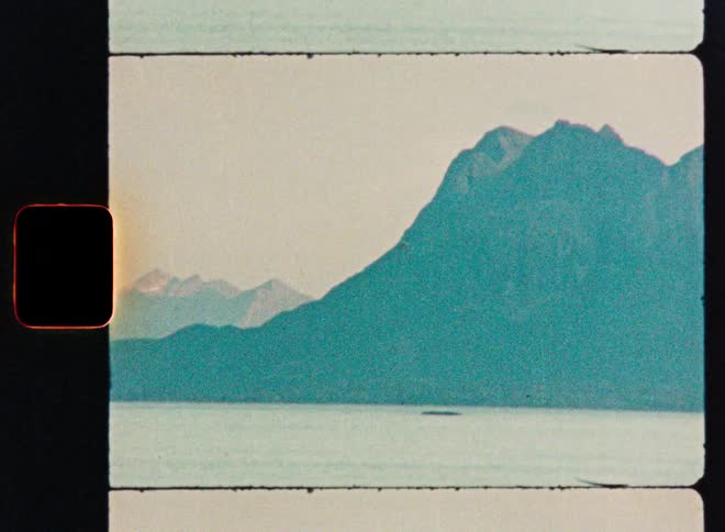 A vintage film scan captures a picturesque view of layered mountains across a calm body of water as a bird flies by