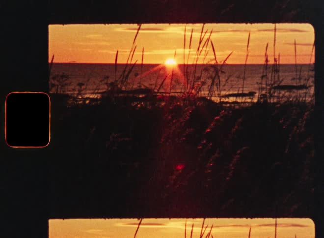 A Super 8 film scan captures a warm, golden sunset over the ocean, viewed through silhouetted beach grass