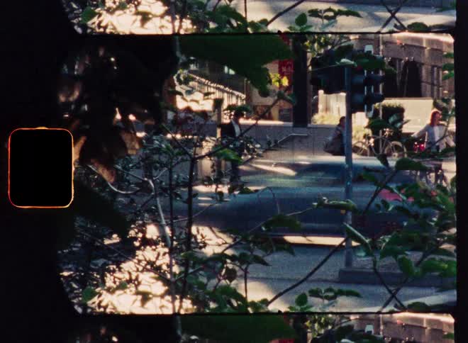 Authentic Super 8 film captures a sunny afternoon on a city street through a leafy foreground
