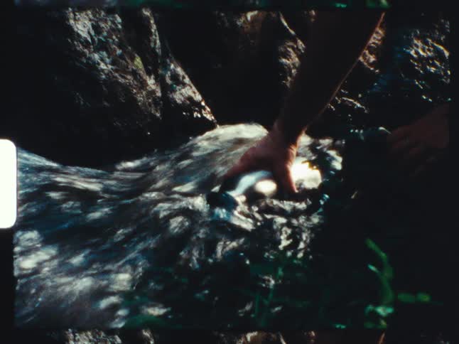 Vintage 16mm film captures a person filling a metal canteen with fresh, clear water from a rushing mountain stream