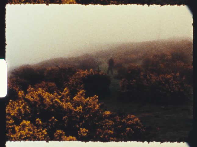 A lone figure stands on a foggy hillside path surrounded by yellow gorse bushes in this vintage Super 8 film