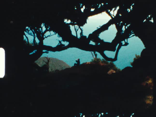 A contemplative silhouette of a person rests on a cliffside with an ocean view, framed by gnarled tree branches in this Super 8 film