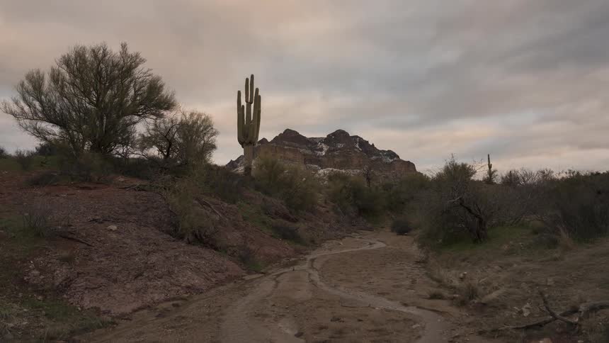 A stunning sunset timelapse captures clouds moving over a snow-dusted Arizona mountain, casting dramatic light and a final red alpenglow over a saguaro cactus