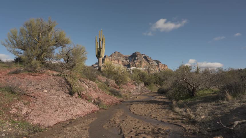 A stunning timelapse captures clouds and shadows moving across the Arizona desert, with a saguaro cactus in the foreground and a snow-dusted mountain in the background