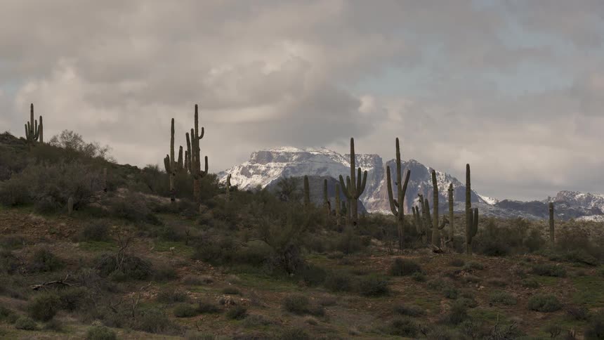 Time-lapse of clouds and shadows moving over a desert landscape with saguaro cacti and a snow-covered mountain in the distance