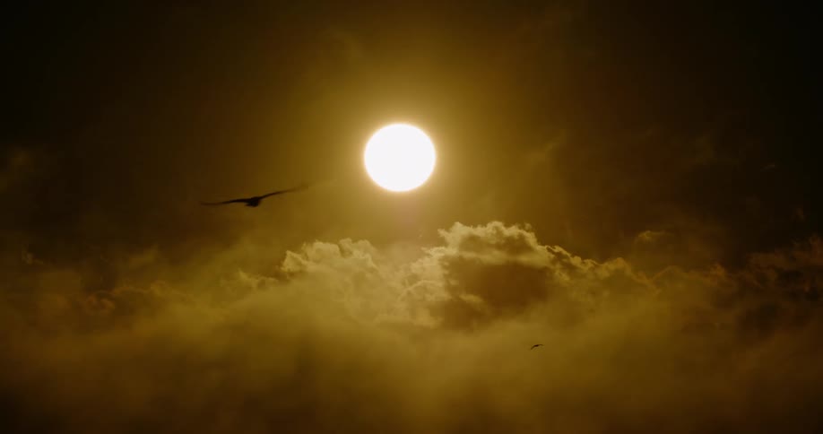 A silhouetted bird flies in slow motion past a bright sun shining through a sea of golden, hazy clouds